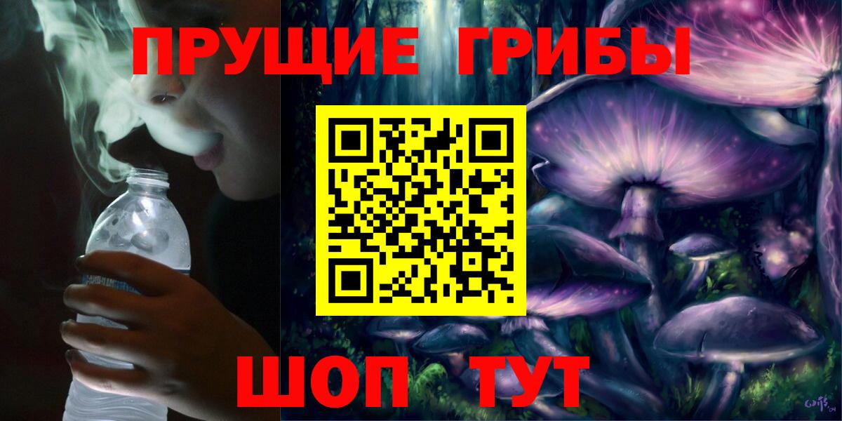 Псилоцибиновые грибы Psilocybine cubensis  Вход с VPN  Курган 
